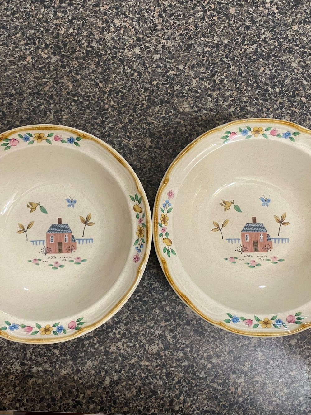 International Heartland Rim Cereal Bowls Set of 2